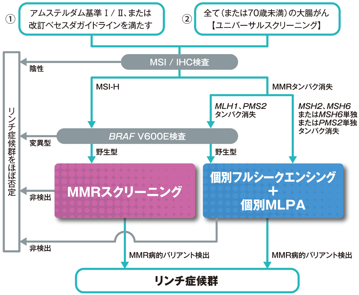 LSの検査/診断フロー（大腸がん）