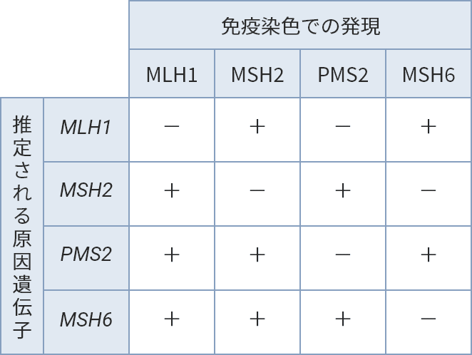 ミスマッチ修復タンパクの免疫染色パターンと推定される原因遺伝子の種類