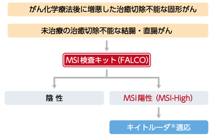 キイトルーダ®の固形がん又は結腸・直腸がん患者への適応を判定するための補助