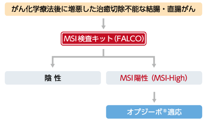 オプジーボ®の結腸・直腸がん患者への適応を判定するための補助