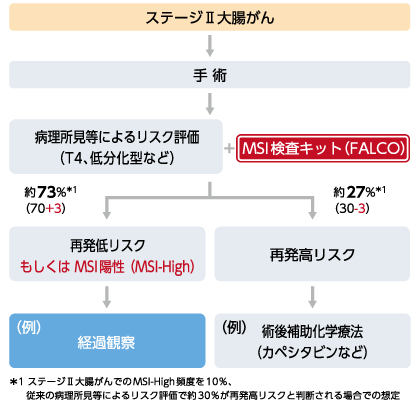 切除可能な進行・再発大腸がんにおける術後補助化学療法の選択の補助