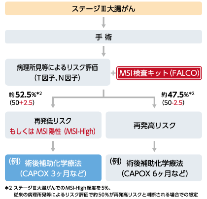 切除可能な進行・再発大腸がんにおける術後補助化学療法の選択の補助