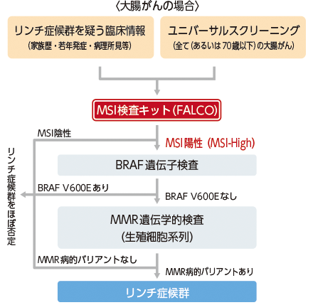 リンチ症候群の診断の補助