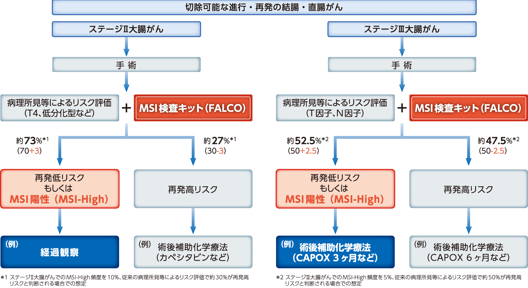大腸がんにおける化学療法の選択の補助（切除可能な進行・再発の結腸・直腸がんにおける術後補助化学療法の選択の補助）